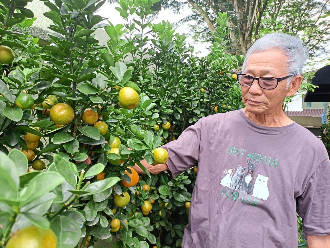 Businesses in full bloom as CNY orders come in early - Vimarsana News