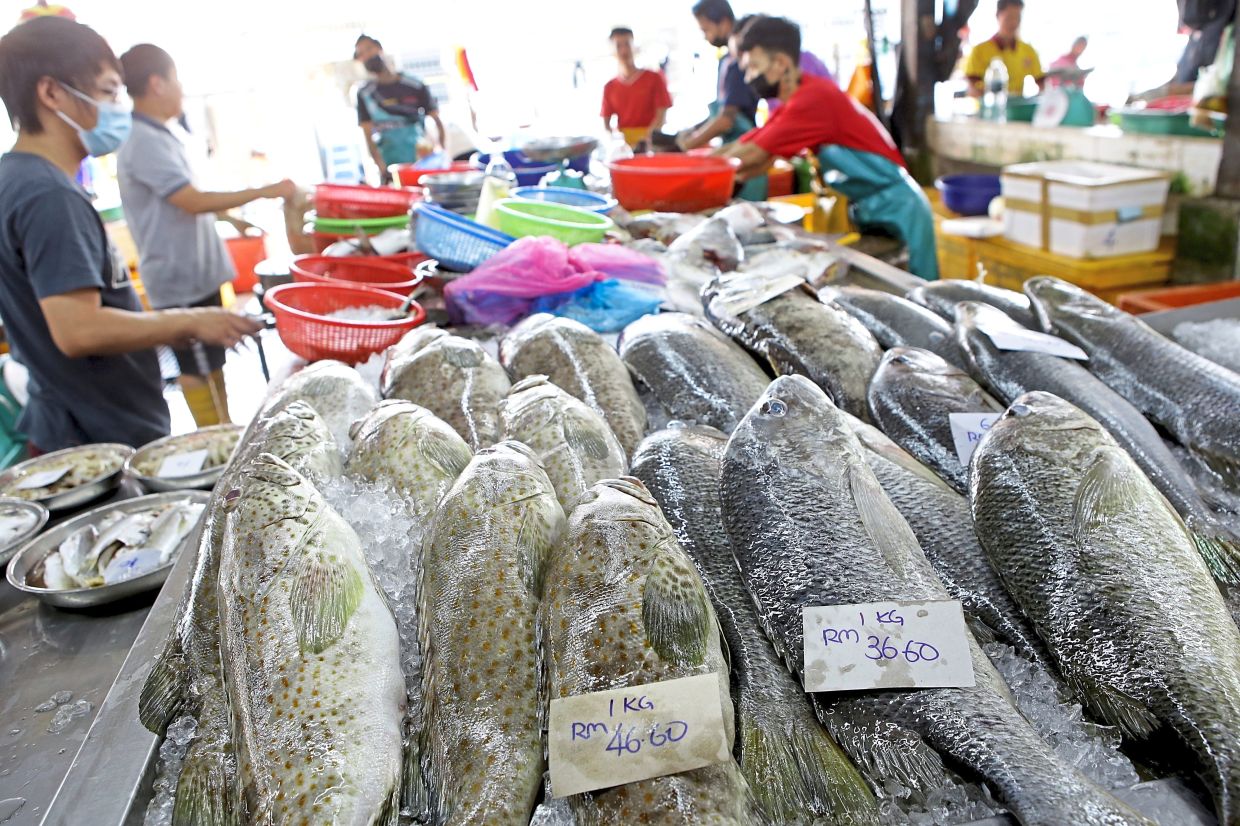 No abundance of groupers for CNY - Vimarsana News