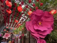 Oversized blossoms, rabbits usher in CNY mood at KL Chinatown laneway