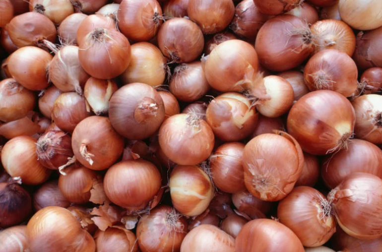 Onion importers given till Jan 27 to ship supply to Philippines The Star