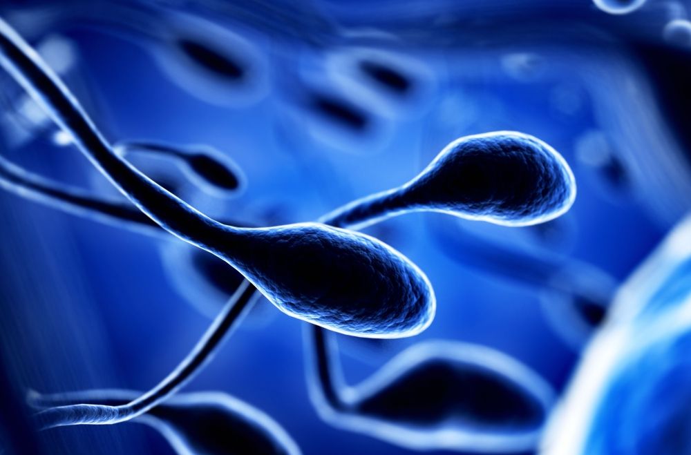 Shooting blanks when you want a baby | The Star