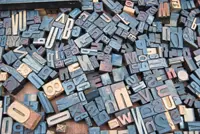 New year means new and exciting words to add to our vocabulary