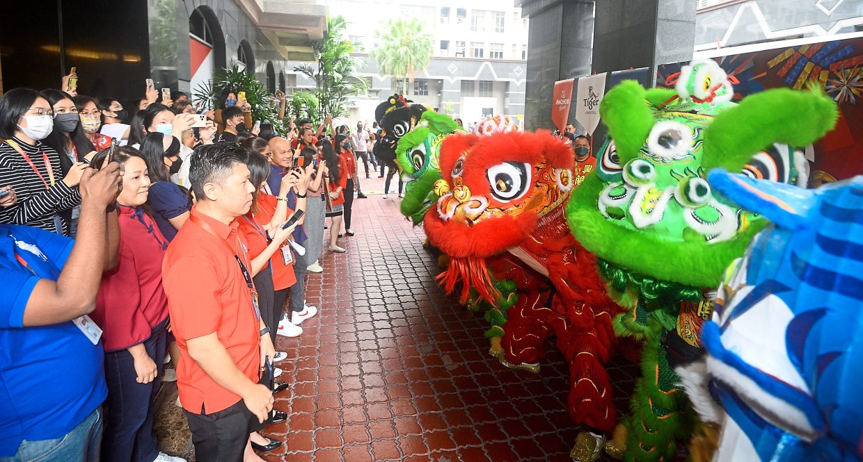 Six brightly coloured lions and two tigers bringing excitement and blessings to SMG employees.