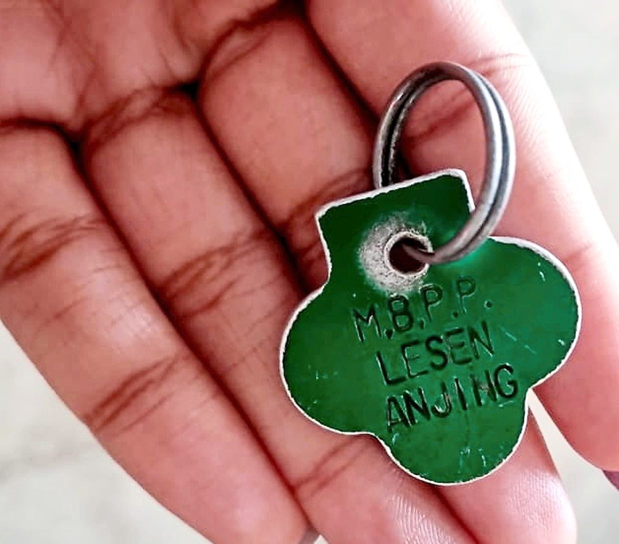 A closeup of the clover-shaped dog tag.