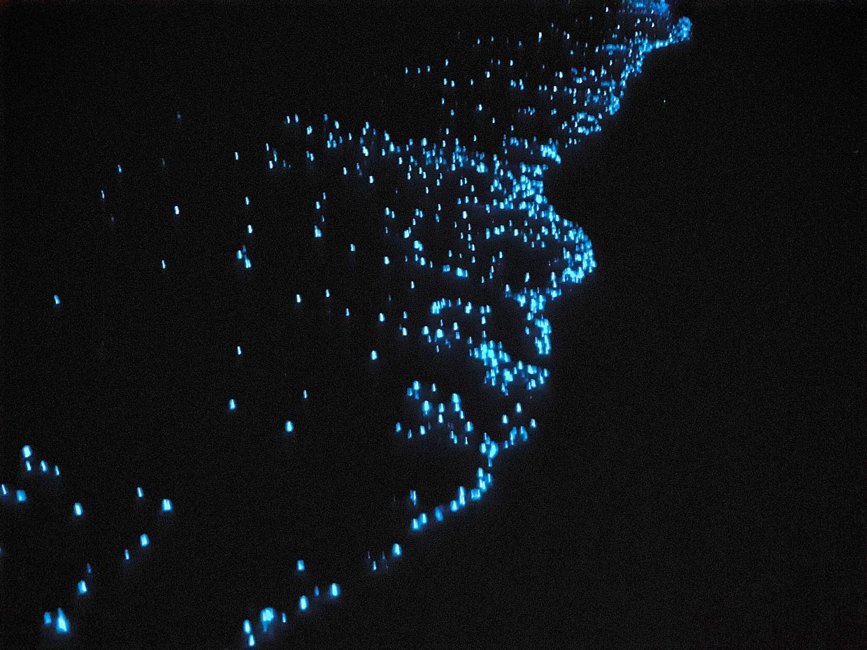 The writer was happy to see some bioluminescent plankton in Maldives.