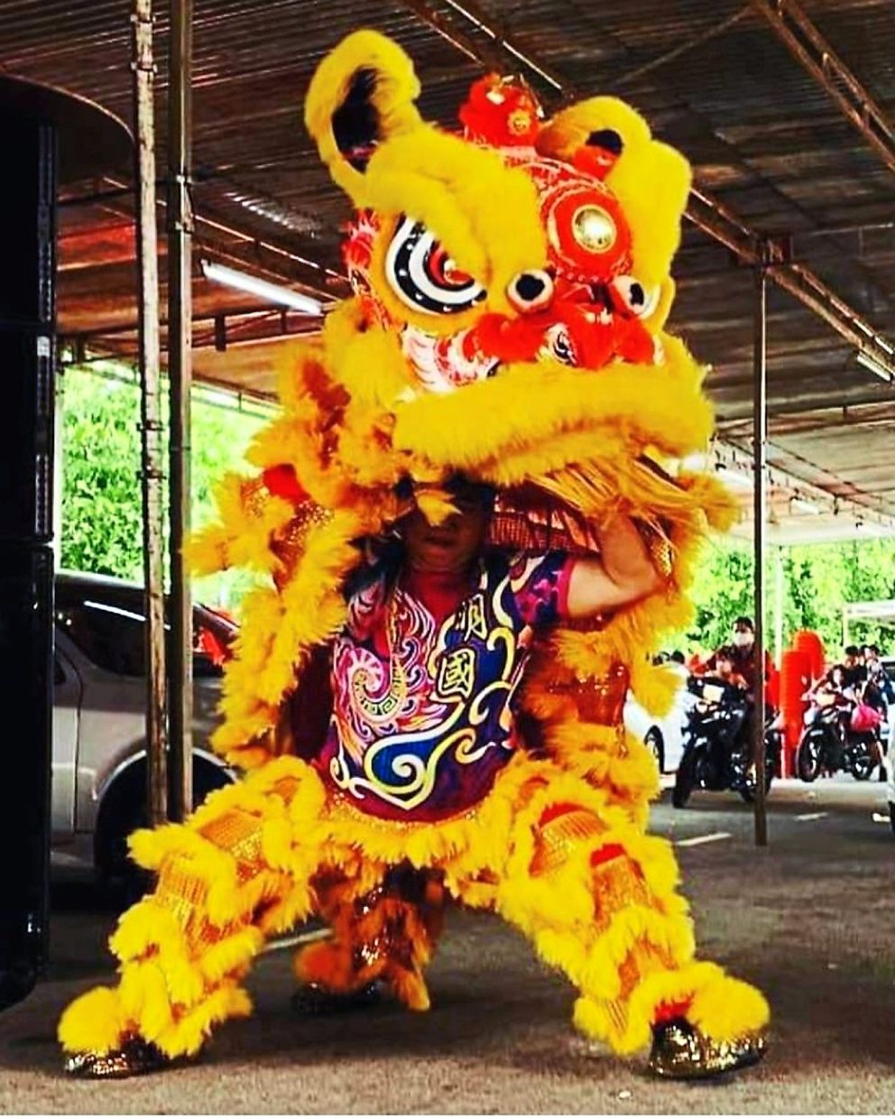 Yellow and red coloured lion heads are popular during the Chinese New Year as it symbolises prosperity and luck. Photo: Facebook/Lo Fo Chi Enterprise