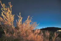 Things you can do in California that do not involve celebrity spotting