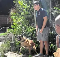 Dog Talk: Up close with a dog hero named Dash