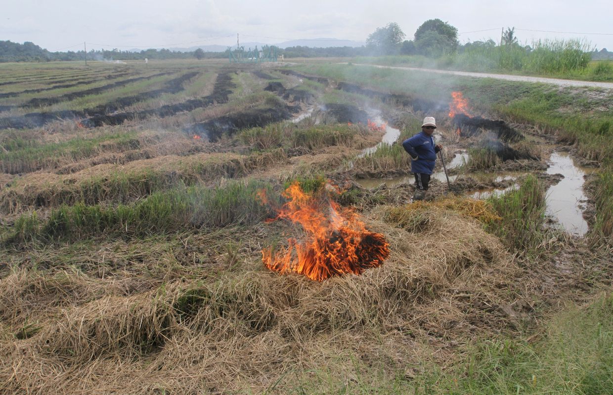 'Snuff out the open burning now' - Vimarsana News