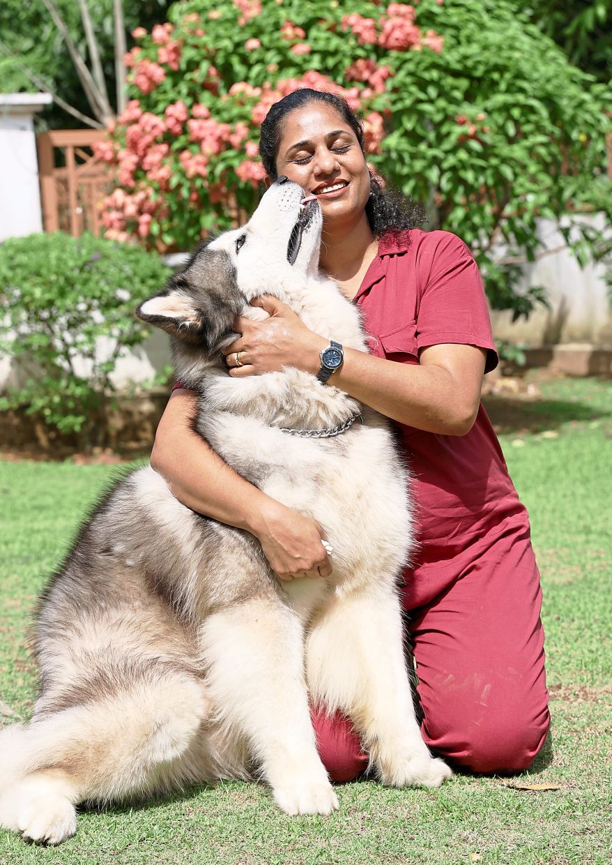 Dogs need companionship and will feel lonely if they’re left alone at home, says Vidhya.