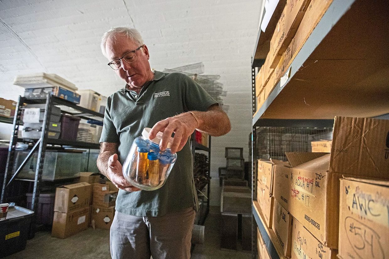 Robert Fisher examining a jar containing vials of invertebrates collected from pitfall traps more than 20 years ago. The vials are part of his 25-year collection.