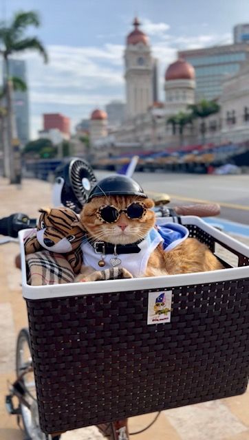 King Oyen at Dataran Merdeka, Kuala Lumpur. Photo: Siti Zalifah Abd Aziz