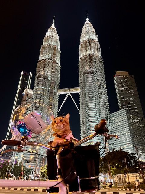 King Oyen at the Petronas Twin Towers in Kuala Lumpur. Photo: Siti Zalifah Abd Aziz