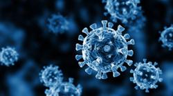 Covid-19: Malaysia records 269 new infections, no deaths on Jan 29