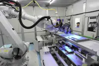 Xi highlights new pattern of development