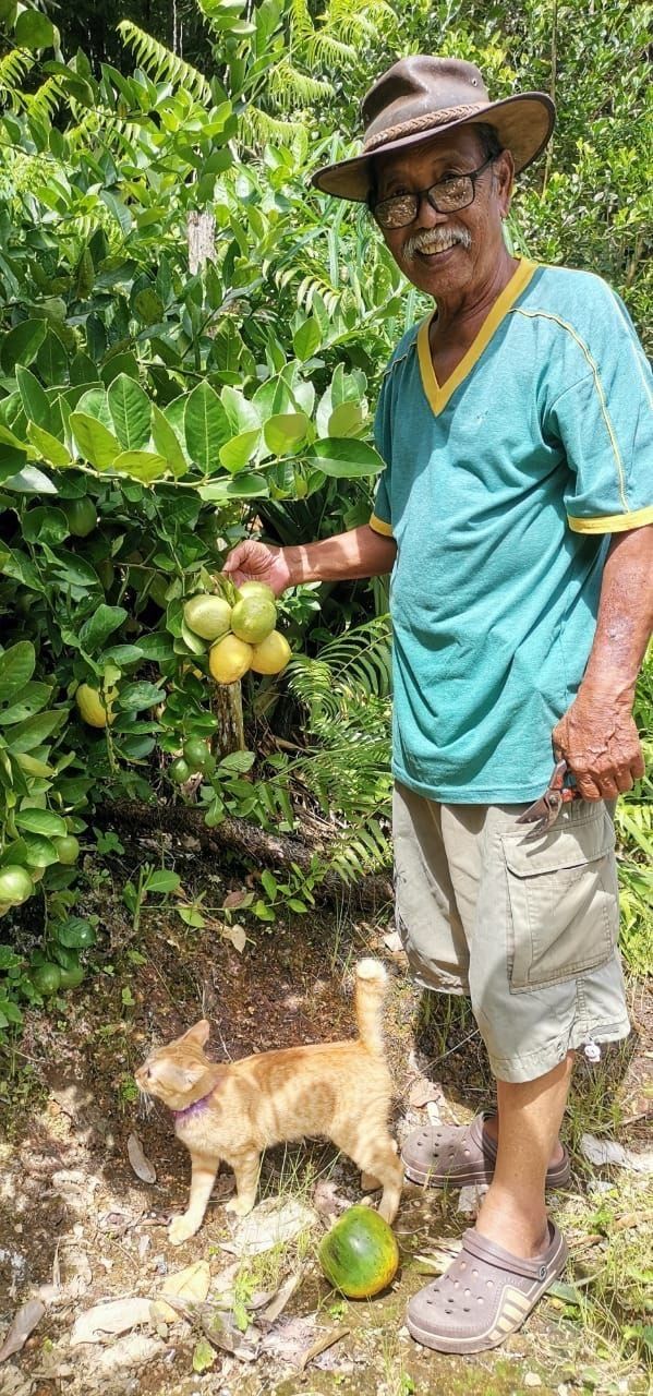 Gardening is one of Edward's greatest loves and here he is tending to one of his fruit trees.