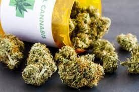 Laos approves regulated production of cannabis for medical use; production and distribution of hemp to be regulated - Vimarsana News