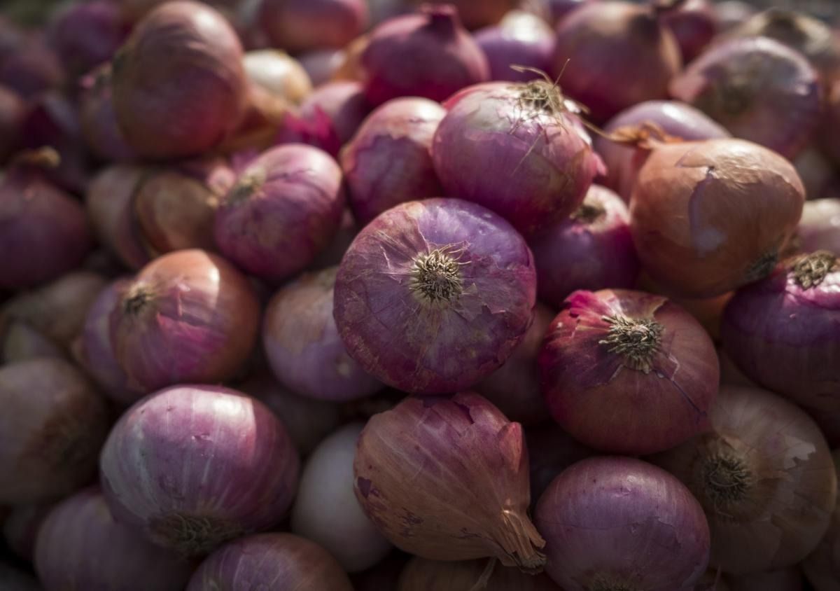 Pricey onions 'currency' in Philippines for one day to support