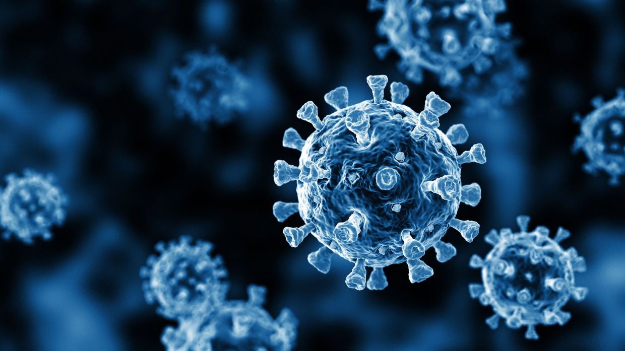 Covid-19 Watch: 211 new infections bring total to 5,037,995 - Vimarsana News