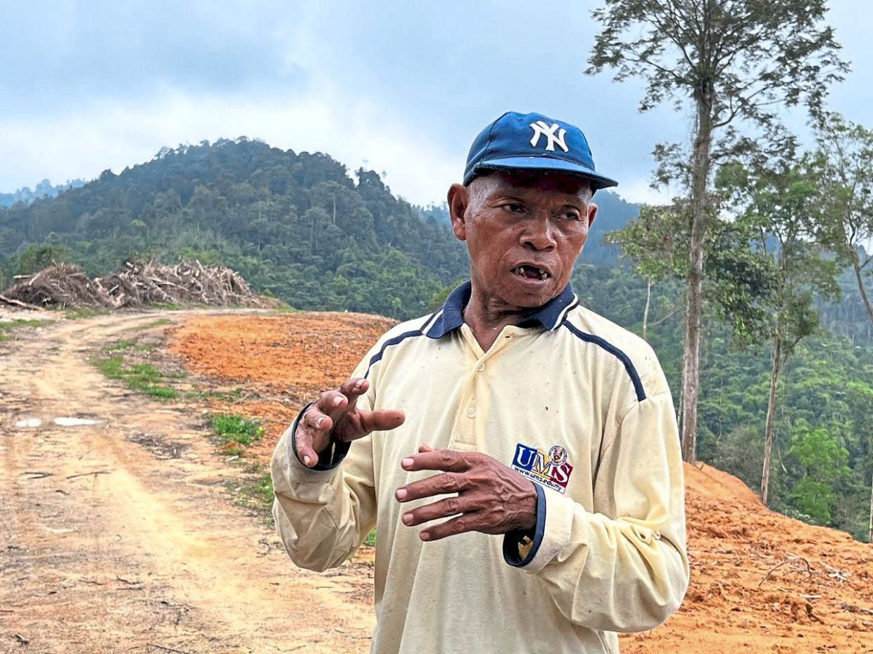 Livelihood lost to land clearing - Vimarsana News