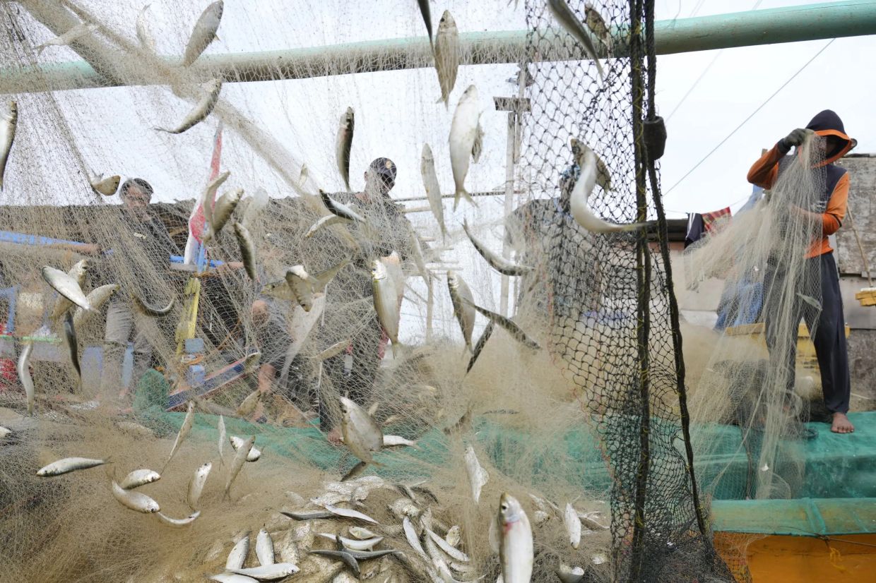 Corruption endangers world's shrinking fisheries and Indonesia among worst hit; other Asean countries also face issues - Vimarsana News