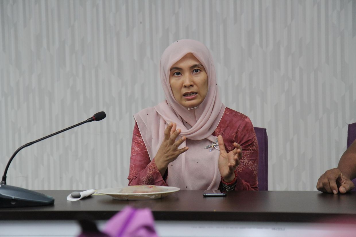 Nurul Izzah steps down from economics and finance post she held for six weeks - Vimarsana News