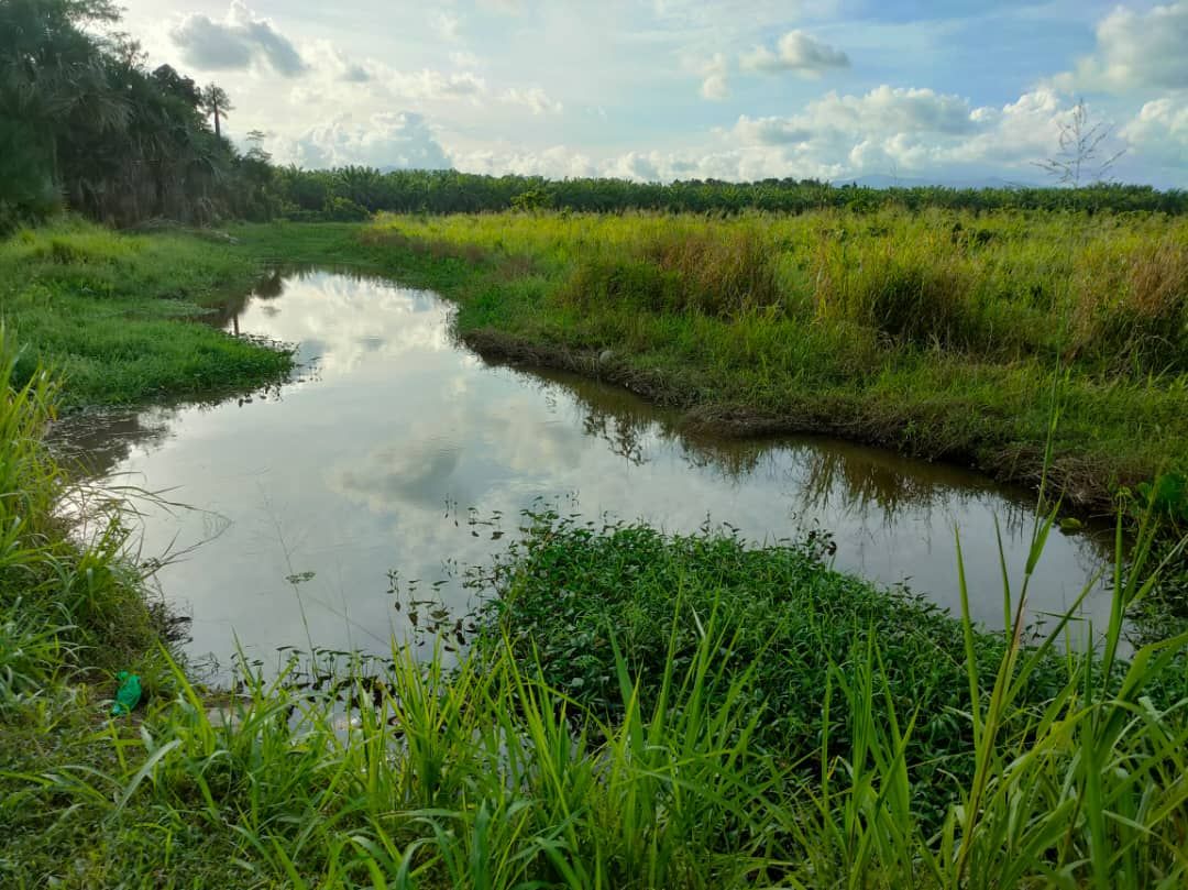 Boy drowns in Kota Marudu ditch - Vimarsana News