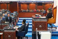 Pandora Papers probe to continue