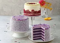 Brand introduces two smaller cakes with enriched flavours