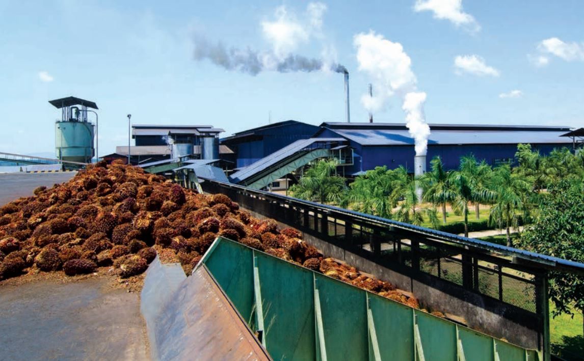 IOI Corp net profit jumps to RM712.10mil | The Star