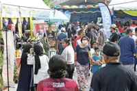 Drawing youths to agro-based sectors