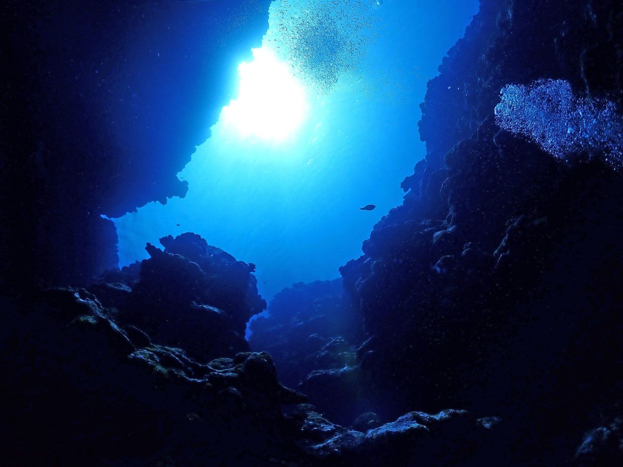 New treatments for illnesses could be lying under the sea - Vimarsana News