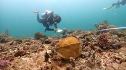 Young islanders learn to preserve, appreciate coral reefs in Semporna