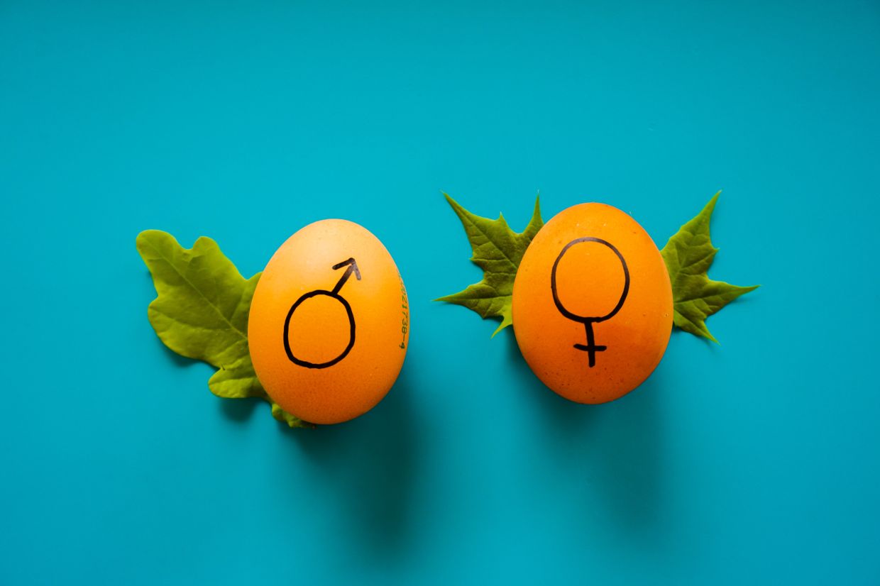 A gender studies programme is important and relevant for it exposes students to how women and other marginalised groups are discriminated based on gender norms and stereotypes. Photo: Dainis Graveris/Unsplash