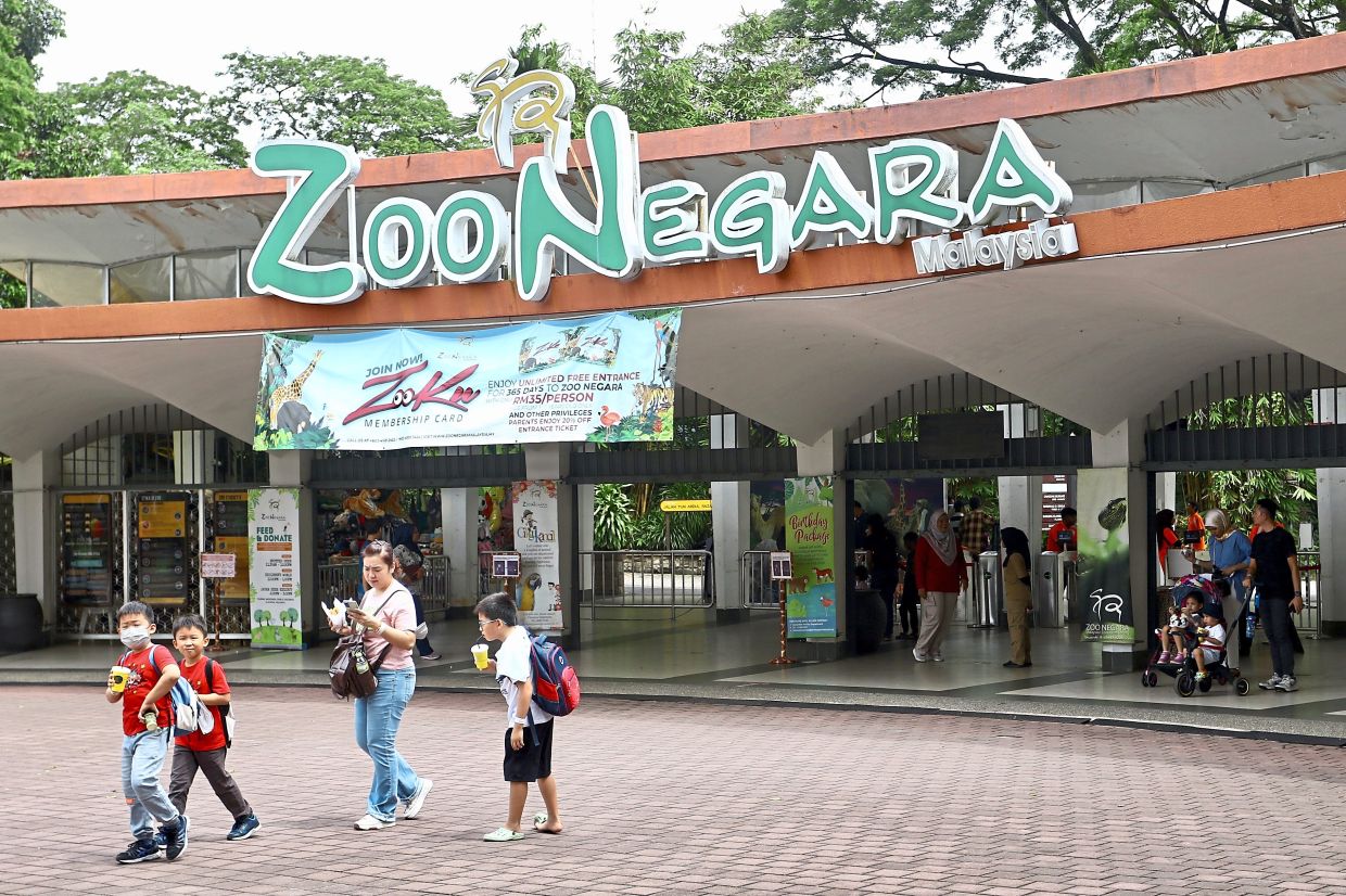 Zoo Negara received nearly RM10mil in govt aid since 2018, Dewan Rakyat