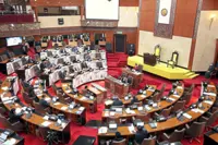 Reps raise alarm on dengue cases