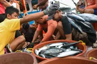 Philippines to build cold storage facilities in ports to address fish spoilage