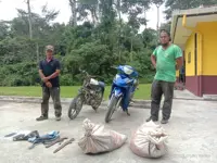 Two men found guilty for possessing venison from hunted deer at Tabin wildlife reserve