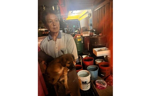 Senior citizen lodges police report against MBPJ dog catchers - Vimarsana News