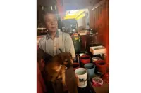 Senior citizen probed for obstructing MBPJ dog catchers from carrying out their duties, say cops