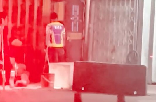 Senior citizen being probed for obstructing dog catchers - Vimarsana News