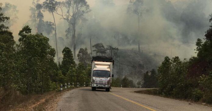 Cassava export boom leading to deforestation and poor air in Laos - Vimarsana News