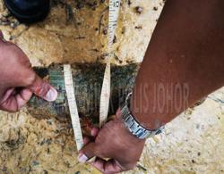 QuickCheck: Was a bomb discovered in Kluang?