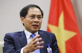 Chinese, Vietnamese FMs vow to promote bilateral ties to new level ...