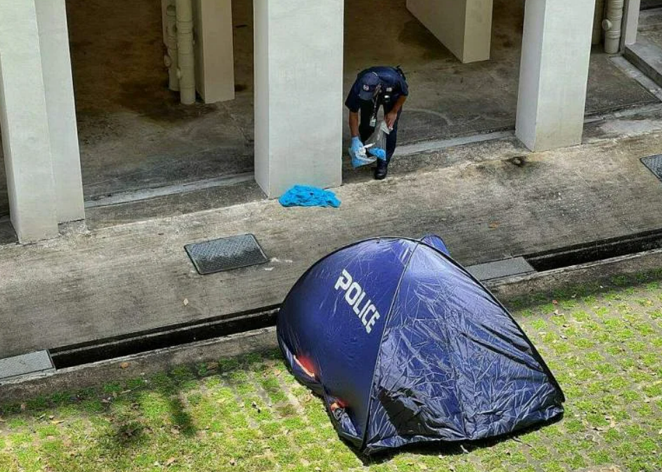 Baby's body found next to Singapore flat; woman, 18, aiding probe - Vimarsana News