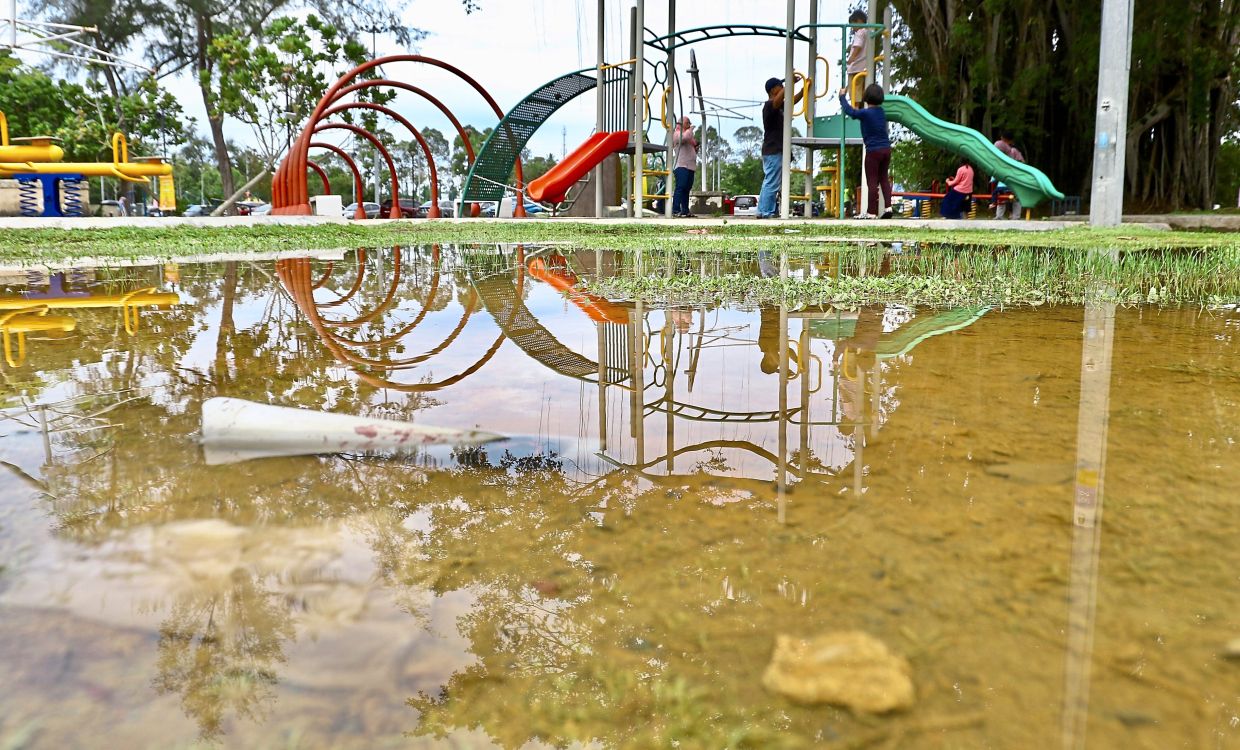Change focus to keep dengue at bay, say health experts - Vimarsana News