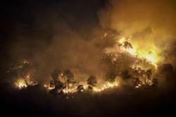 Thai firefighters step up battle against forest blaze