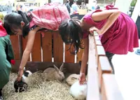 Putting an end to abuse of animals