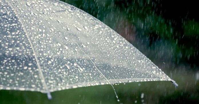 Early downpour disrupts Palm Sunday procession at Penang church - Vimarsana News