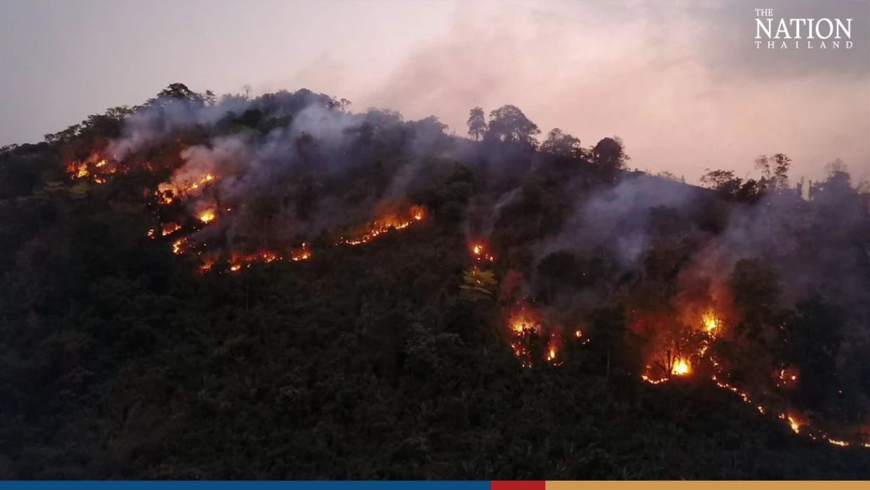 Thailand continues to fight forest fires in Nakhon Nayok; more than 170 hectares of land ravaged already - Vimarsana News